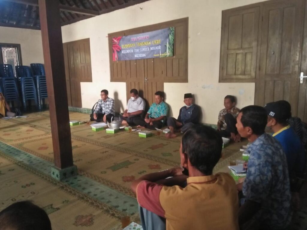 Pelatihan Budidaya Tanam Cabe di Padukuhan Nglarang